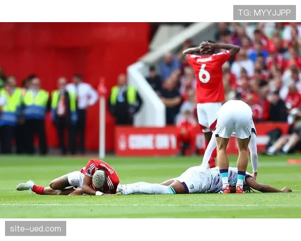 埃利奥特·安德森传球513次抢断55次 诺丁汉森林中场展现全能性 埃利奥特·安德森传球513次抢断55次 诺丁汉森林中场展现全能性