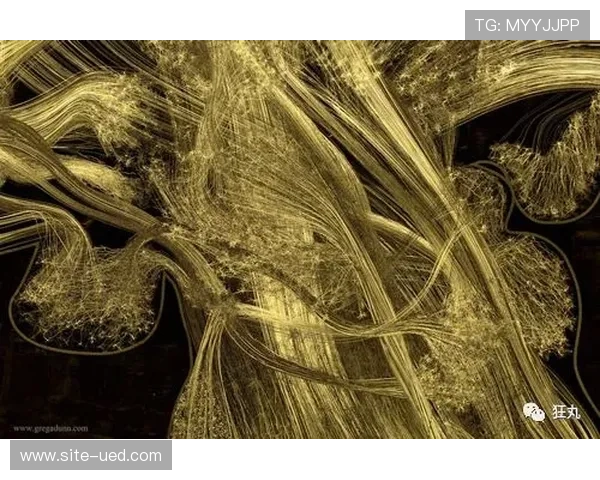 计算影像技术在当前阶段融入切片制作 让静态图像拥有了动态缩放空间