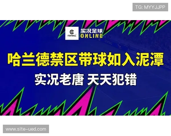 哈兰德跑动热图显示活动范围 禁区内外威胁区域全面覆盖